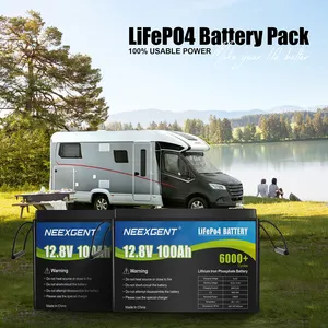 Batteria Lifepo4 12v 100ah potente batteria al litio-ferro con Smart BMS