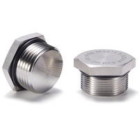 Bouchon de tuyau hexagonal en acier inoxydable, raccord fileté industriel pour l'industrie chimique et marine