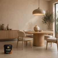 Peinture décorative extérieure imperméable sans joint satinée VALIDEA Valencia pour revêtement liquide éco-responsable à base d'eau en deux composants OEM