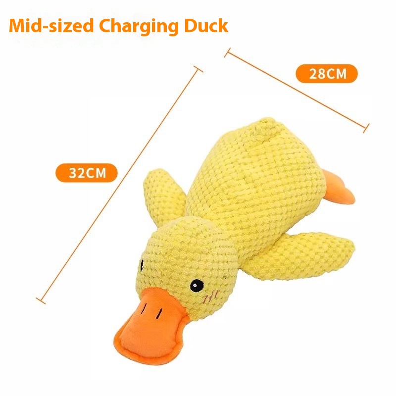 Medium-sized duck call [duck sound]