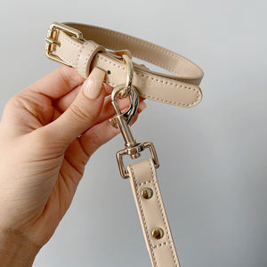 Juego de correa de <span class=keywords><strong>collar</strong></span> de perro pequeño para cachorro ajustable con soporte de bolsa de caca duradero para entrenamiento, caminar, diseño cómodo, accesorios para mascotas - Product Image 5