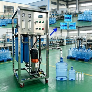 Depuratore d'Acqua da 250lph 500lph 1000lph per Uso Commerciale con Certificazione CE e ISO - Product Image 1