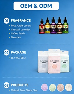 Litière pour <span class=keywords><strong>chat</strong></span> Surepawzy à agglomération rapide, sans poussière, avec des boules sphériques de tofu et de manioc, charbon actif pour chats - Product Image 6