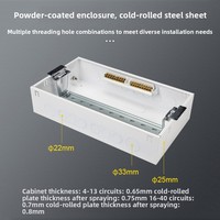 Boîtier de distribution électrique Chint pour usage domestique, armoire de distribution à interrupteur automatique, boîte de courant fort, disjoncteur avec protection contre les fuites