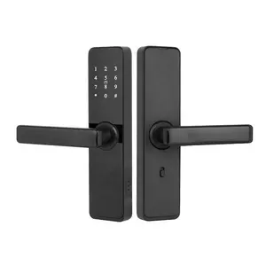 Cerradura de puerta inteligente para el hogar, dispositivo de alta seguridad con tarjeta IC, aplicación TTlock, Control remoto y reconocimiento de huellas dactilares, OEM