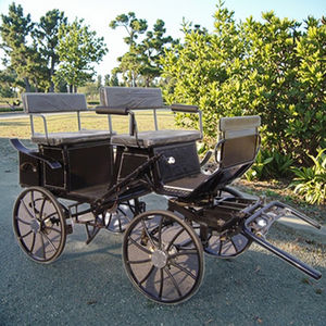 Trasporto speciale in acciaio carretto per la maratona di formazione - Product Image 4