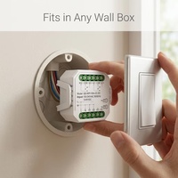 Module d'interrupteur intelligent Tuya pour la maison, AC 110V 220V DC 5V-40V, relais WiFi Zigbee 1/2CH, contact sec NO NC, commande vocale Alexa Google