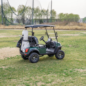 Supply Battery Driven <b>2</b>-seat Golf Buggy <b>2</b> <b>Passenger</b> Car for Resort & Residential Villa - Product Image 2