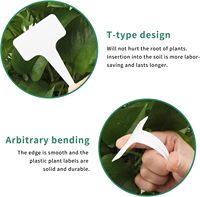 Étiquettes de plantes en plastique de 6x10 cm étiquettes de piquet de jardin de type T marqueurs de plantes imperméables signes de plantes réutilisables pour graines en pot