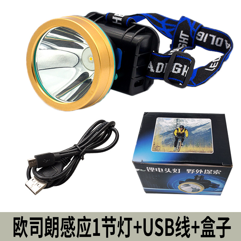3010-5 Sensor White Light 5W Built-in 2 Batteries