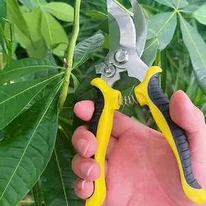 Tijeras de podar de jardín Herramientas de mano Cortador de jardinería Herramienta de jardín profesional