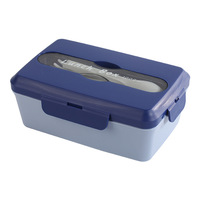 Conteneur de stockage alimentaire en plastique PP antibactérien de 1000 ml, 4 compartiments, chauffable, étanche, boîte à lunch