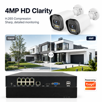Kit de Cámara IP PoE Wistino para Parques Infantiles y Comunitarios, Vista en Vivo 24/7, Grabación de Audio y Micrófono Integrado, Audio Bidireccional