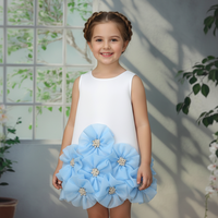 Robe de Princesse pour Enfants, Robe de Soirée Illusion Tendance pour Fille, Robe de Bal Formelle sans Manches avec Col et Appliques Florales 3D