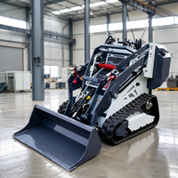 Livraison gratuite, prix bas, mini-chargeuse sur chenilles de 500 kg, Kubota Diesel CE EPA EURO5 pour ferme et jardin