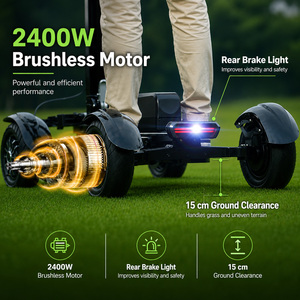 US Stock Free Shipping <b>Foldable</b> Golf Scooter 4 Wheel <b>Cart</b> With Removable Battery M12-3 Mobility Golf Skateboard M12-3 - Product Image 3