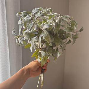 Plante artificielle verte en flocage de <span class=keywords><strong>sauge</strong></span>, herbe de lapin, vente en gros, source d'usine, fleurs artificielles en gros - Product Image 2