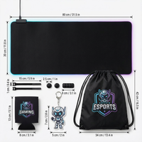 Ensemble cadeau de jeu Esports personnalisé Tapis de souris LED RVB Tapis de bureau Câble de charge USB Kit de swag pour événement de joueur