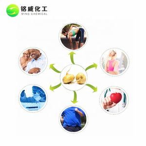 マカ根エキス粉末<span class=keywords><strong>100</strong></span>% 純粋天然 - Product Image 5