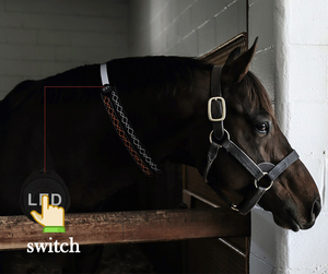 Equestre regolabile LED corda collo leggero copri notte riflettente abbigliamento per la formazione di cavalli altri prodotti del cavallo - Product Image 6