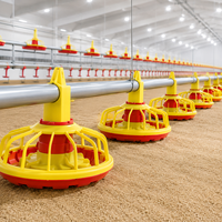 Mangeoire automatique anti-déversement pour volailles, mangeoire pour poulets de chair, gestion de l'alimentation en élevage avicole, exigence de commande en gros