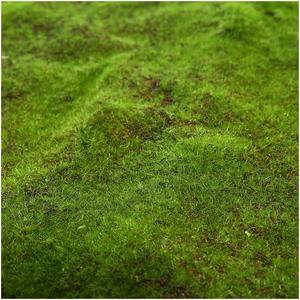 หญ้าเทียมแบบถอดได้ เป็นมิตรกับสิ่งแวดล้อม ตกแต่งสวนสไตล์โมเดิร์น <span class=keywords><strong>ดอกไม้</strong></span><span class=keywords><strong>แห้ง</strong></span>หรูหรา ของตกแต่งบ้านแบบแขวน - Product Image 3