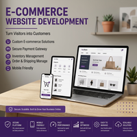 E-Ticaret Web Sitesi Geliştirme Hizmetleri Özel Mağaza Tasarımı Güvenli Ödeme Envanter Sipariş Gönderim Yönetimi Acenteliği