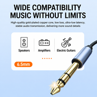 Câble de guitare de haute qualité 6,5 mm (1/4 pouce) mâle, conducteur plaqué or en PVC, cordon audio stéréo pour HDTV, voiture, ordinateur et microphone