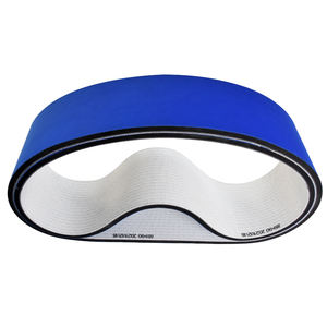 Ürün taşıma hattı OEM özelleştirilebilir düz kemer için rekabetçi fiyat mavi kumaş sünger konveyör bant - Product Image 4