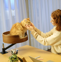 Lits et accessoires pour animaux de compagnie : Meuble en bois courbé pour animaux, bureau en bois réglable et surélevé, tour pour chat, lit pour chat pour table de bureau