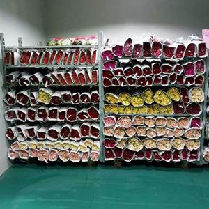 바퀴를 가진 정원 트롤리 꽃 수송 식물 간호원 금속 선반 선반 - Product Image 3