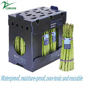 Venta caliente de fábrica Cajas de embalaje Contenedor PP <span class=keywords><strong>Caja</strong></span> de embalaje de plástico corrugado para vegetales Cajas De Frutas Y Verduras - Product Image 3