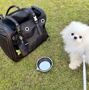 Free Sample Brand like design pet <b>backpack</b> Black <b>carrier</b> classic luxury dog and <b>cat</b> travel handbag - Product Image 4