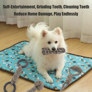 Cotton <b>Rope</b> Knot Interactive Dog Teeth Cleaning Chew Toys for Small Dogs - Product Image 3