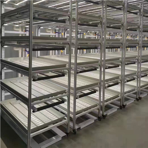 2023 תאילנד גידול גדול מקורה של הגינון פנימי - Product Image 2