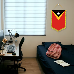 Wholesale 20x30cm Mini Pennant Car Flags East Timor Wall Decor Digital Printing <b>Small</b> Ornaments Hanging Display Accessories - Product Image 4