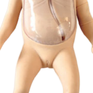 Nouveau-né réaliste de mannequin de corps entier de BIX-L67B avec la canule de veine centrale pour la formation des étudiants en sciences médicales - Product Image 5