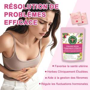 Thé Naturel เท fibromes utérus et สมดุลฮอร์โมน mélange de Plantes เท fertilité fémine สุขภาพดีสมุนไพรชาธรรมชาติ - Product Image 2