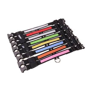 Großhandel Multi color Personal isierte Wasserdichte Hunde halsband Leine Glühende Hunde halsband Leine Led USB Hunde halsband - Product Image 4