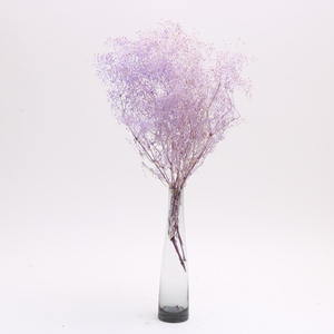 2020ขายร้อนดอกไม้ที่เก็บรักษาไว้Babysbreath Preserved<span class=keywords><strong>ล้าน</strong></span>Starสำหรับตกแต่งบ้าน - Product Image 1