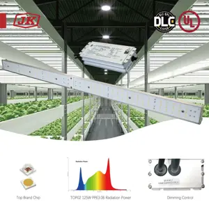 JK Slim tipo lineare miglior spettro completo commerciale 100w 120w 125w 150w Led coltiva la luce 2023