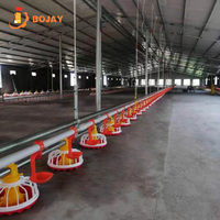 Équipement d'élevage avicole moderne entièrement automatique pour poulets de chair en élevage au sol