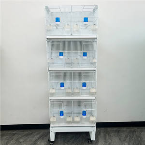 Toptan Yeni Model Metal Kuş Üretim Kafesleri Kanarya, Altın İspinoz, Gri Serçe ve Büyük Altın Sarısı Hibiscus Kuşları için - Product Image 1