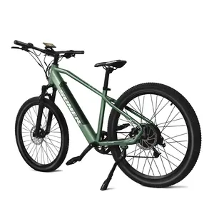 Cheap Price Factory Buy Electric Bicycle Mountain Bike With Lithium Battery