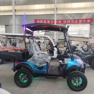 Voiturette de golf électrique tout-terrain surélevée 2 places couleur caméléon 2026 - Product Image 6