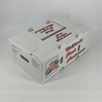 Boîte d'emballage personnalisée de qualité alimentaire pour kakis, écologique, en carton ondulé, avec trous de ventilation, réutilisable pour riz frais