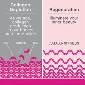 OEM ODM Super Collagène 270 Comprimés 1 Flacon avec Vitamine C Biotine Antioxydants Complément Alimentaire pour la Peau, les Cheveux et les Ongles pour Adultes - Product Image 2