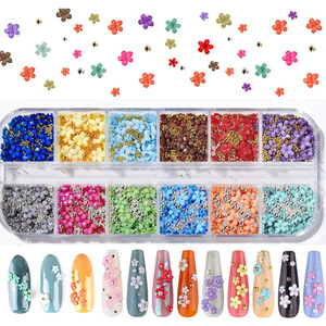12 colores 12 rejillas <span class=keywords><strong>resina</strong></span> flor <span class=keywords><strong>uñas</strong></span> encantos cuentas <span class=keywords><strong>de</strong></span> acero mixto gema encantos Kawaii DIY manicura <span class=keywords><strong>uñas</strong></span> suministros - Product Image 2