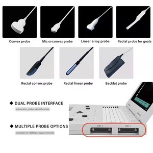 Échographe portable G-800+ <span class=keywords><strong>pour</strong></span> animaux, équipement d'échographie vétérinaire, <span class=keywords><strong>appareil</strong></span> <span class=keywords><strong>de</strong></span> diagnostic échographique bovin, ultrason - Product Image 4