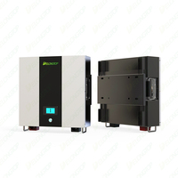 Batterie murale Li Ion LFP 3kwh 5kwh LifePO4 24V 100Ah 200Ah Batterie au lithium pour système de stockage d'énergie solaire domestique